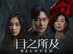 目之所及剧情介绍封面图